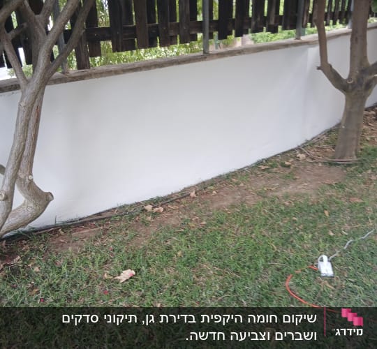 קיר צבוע לבן עם דשא ועצים מסביב